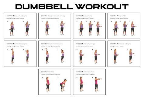 Free Dumbbell Workout Chart Printable